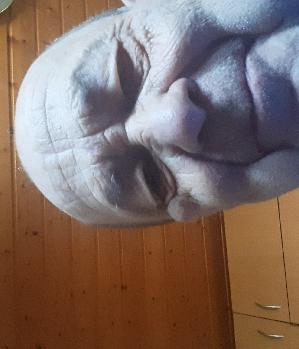 Lustschlucker