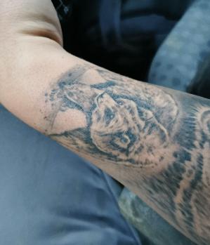 Zum Profil von Maikel1991