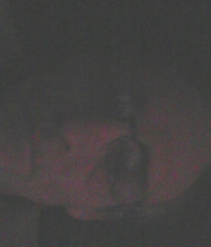 Zum Profil von Metzger05