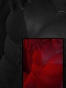 MissMiriOrginal Hildesheim