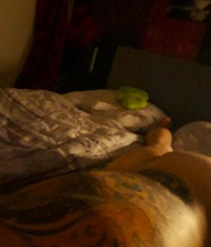 Sex Inserat von: Nachtschaten