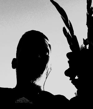 PLuFiX