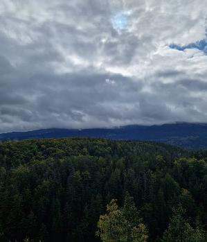 Zum Profil von Philippfanta