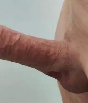 Sex Inserat von: Pitbull200