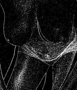 Sex Inserat von: SIJO69