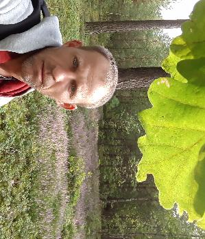 Zum Profil von Scorpions
