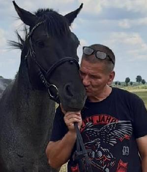 Zum Profil von SteveRathenow52