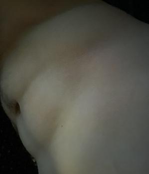 Sex Inserat von: Stevous