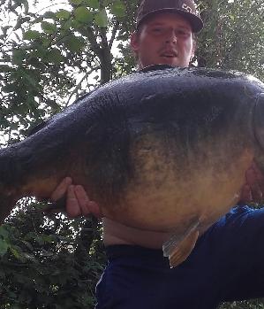 Zum Profil von Timo3396