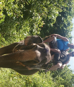 Zum Profil von diesindes