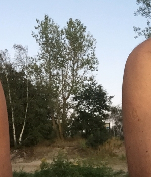 Zum Profil von erlichkeit