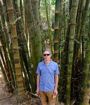 Zum Profil von gravitygeoid