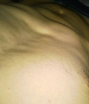 Zum Profil von playground