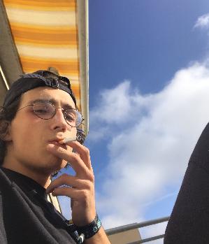 Zum Profil von twizzla