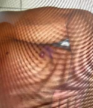 Zum Profil von wildobses