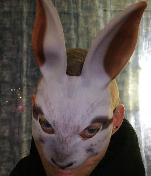 Zum Profil von zollus8zwei